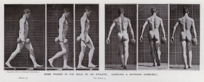 A Figura Humana em Movimento: Algumas fases da caminhada de um atleta, carregando um sino mudo de 50 libras (foto a p/b) de Eadweard Muybridge