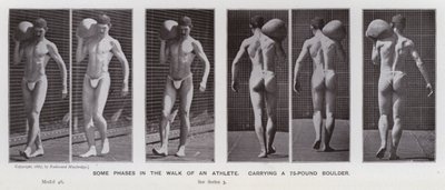 A Figura Humana em Movimento: Algumas fases da caminhada de um atleta, carregando uma rocha de 75 libras (foto a p/b) de Eadweard Muybridge