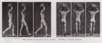 A Figura Humana em Movimento: Algumas fases da caminhada de um atleta, carregando uma rocha de 75 libras (foto a p/b) de Eadweard Muybridge