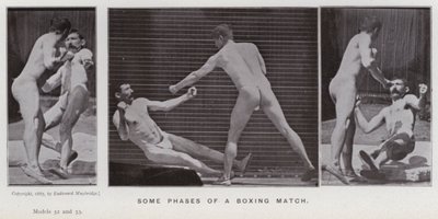 A Figura Humana em Movimento: Algumas fases de um combate de boxe (foto a p/b) de Eadweard Muybridge