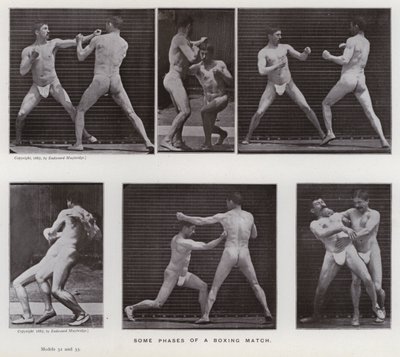 A Figura Humana em Movimento: Algumas fases de um combate de boxe (foto a p/b) de Eadweard Muybridge