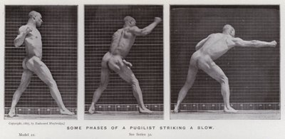 A Figura Humana em Movimento: Algumas fases de um pugilista a dar um golpe (foto a p/b) de Eadweard Muybridge