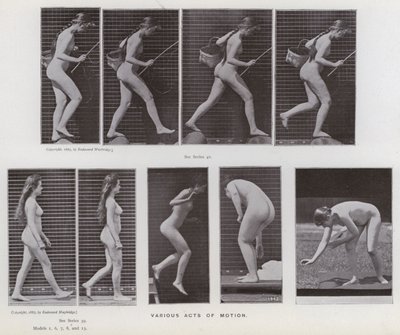 A Figura Humana em Movimento: Vários atos de movimento (foto a p/b) de Eadweard Muybridge