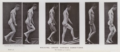 A Figura Humana em Movimento: Caminhando, sob várias condições (foto a p/b) de Eadweard Muybridge