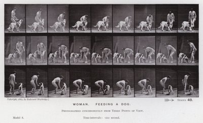 A Figura Humana em Movimento: Mulher, alimentando um cão (foto a p/b) de Eadweard Muybridge
