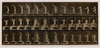 Mulher a despejar uma bacia de água sobre a cabeça, do livro Animal Locomotion de Eadweard Muybridge