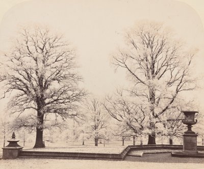 Hoarfrost, a Park Scene, 1862. de Earl of Caithness James Sinclair
