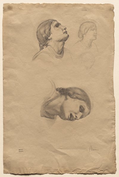Quatro estudos da cabeça de uma jovem italiana de Edgar Degas