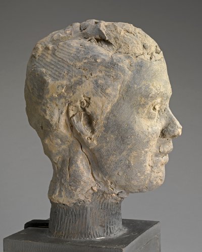 Cabeça, Estudo para Retrato de Mme Salle, c.1892 (argila, armadura de metal, sobre base de madeira) de Edgar Degas