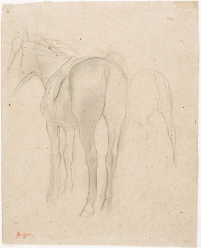 Estudos de um cavalo de Edgar Degas