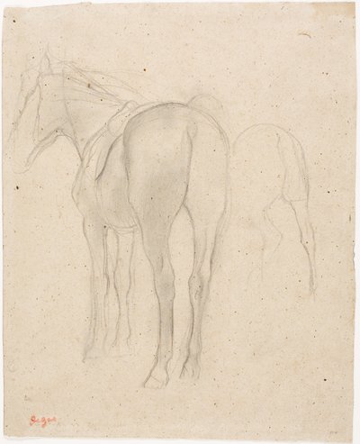 Estudos de um cavalo de Edgar Degas