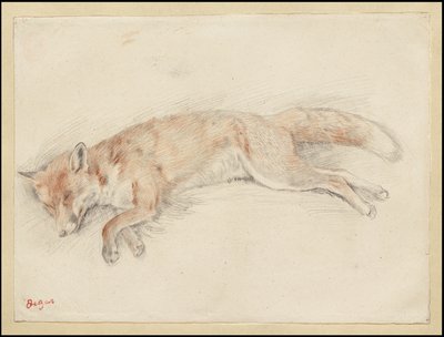 Estudo para "Raposa morta na floresta", c.1861-64 de Edgar Degas