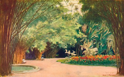Um bosque de bambu - Jardim Botânico, 1914 de Edgar L. Pattison