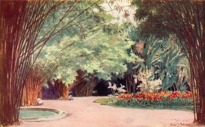 Um Bosque de Bambu, Jardim Botânico (lito colorido) de Edgar L. Pattison