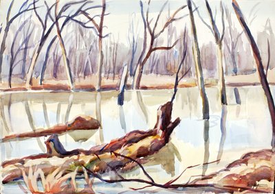 Rock Creek, Inverno, ca. 1920-1929. de Edgar Nye