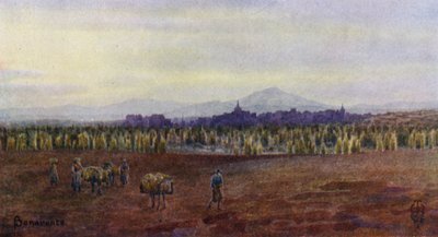 Norte de Espanha: Benavente, de cima da Ponte de Castro Gonzalo (lito a cores) de Edgar T. A. Wigram