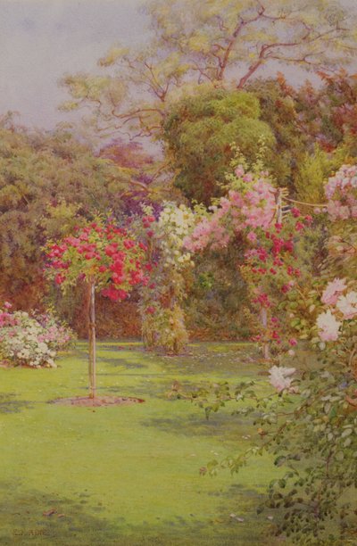 Um jardim de rosas (aquarela sobre papel) de Edith Helena Adie