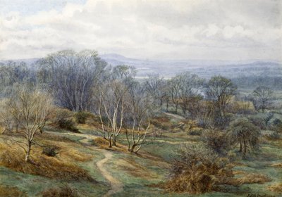 Hampstead Heath, olhando em direção a Harrow on the Hill, cerca de 1880 (wc no papel) de Edith Martineau