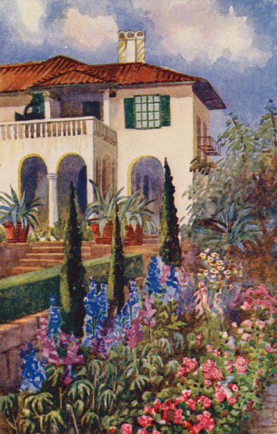 Um canto do Jardim na Villa Arcadia, Joanesburgo (cor litho) de Edith Struben