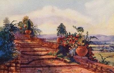 The Steps at Government House, Pretória (lito a cores) de Edith Struben