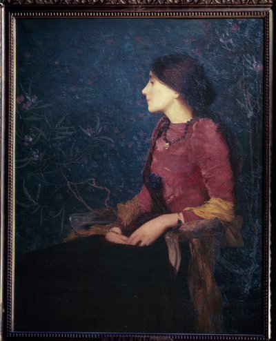 bra09790 de Edmond François Aman Jean
