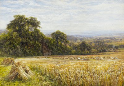 Tempo de colheita (aguarela) de Edmund George Warren