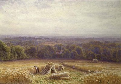 Colheita de Edmund George Warren