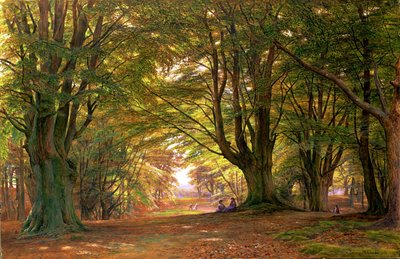 Jogando na madeira de faia, 1876 (wc) de Edmund George Warren
