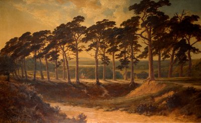 Grade do primeiro, Hampstead Heath, 1875 de Edmund John Niemann