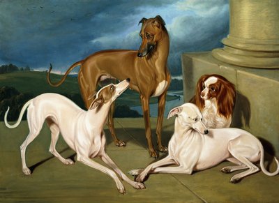 Whippets e um King Spaniel, 1837 de Edmund Jr Havell
