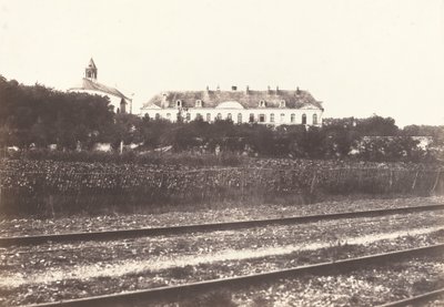 Floresta. de Édouard Baldus