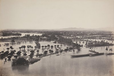 Floresta. de Édouard Baldus