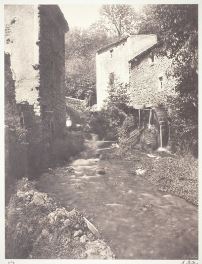 Floresta. de Édouard Baldus