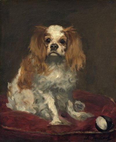 Um King Charles Spaniel de Édouard Manet