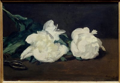 Ramo de peónias brancas e pintura de segurança de Edouard Manet (1832-1883) 1864 Dim. 0,31x0,46 m. Paris. Museu Orsay de Édouard Manet
