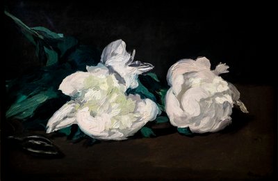 Ramo de peônias brancas e tesouras de podar de Édouard Manet