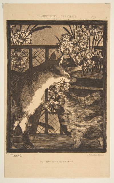Gato e flores. Ilustração aos gatos por Champfleury, 1869. de Édouard Manet