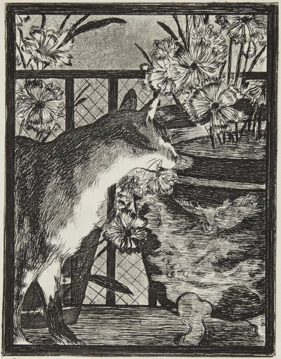 O gato e as flores de Édouard Manet