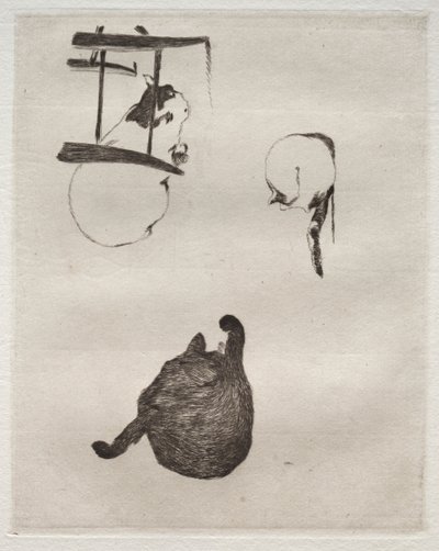 Os gatos de Édouard Manet