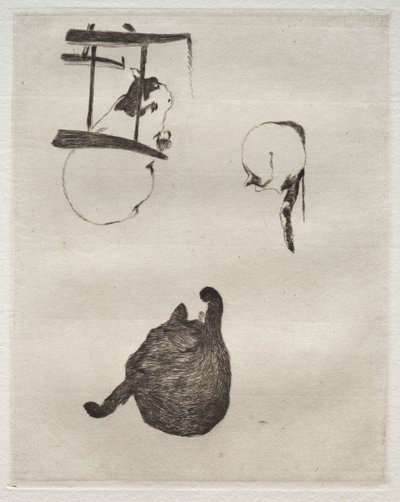 Os Gatos, 1868-1869. de Édouard Manet