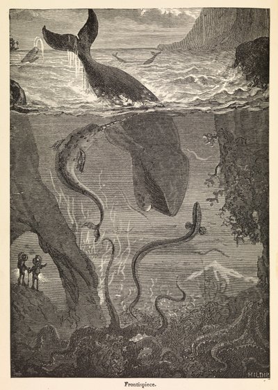 Frontispício de "Vinte mil léguas submarinas" de Júlio Verne, c.1870 (gravura) de Edouard & Neuville Alphonse-Marie-Adolphe de (1835-85) Riou
