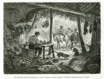 Um laboratório de taxidermia na floresta virgem, na região de Llanos (Colômbia), desenho de Riou, para ilustrar a história da América Equinoxiale (Colômbia, Equador, Peru), em 1875-1876, de Ed. andre, encarregado de missão de viajantes pelo governo francês de Edouard Riou