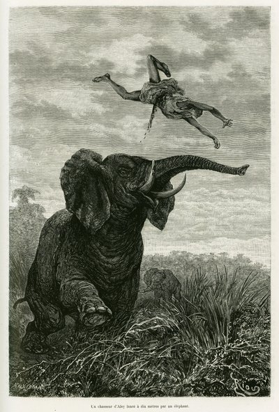 O caçador da Aley atira a uma milha de um elefante. Gravado por Riou para ilustrar a história Les lacs de l