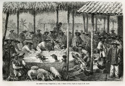 Luta de galos e animação de rua em Ibague (Colômbia), desenho de Riou, para ilustrar a história da América Equinoxiale (Colômbia, Equador, Peru), em 1875-1876, de Ed. andre, encarregado de missão de viajantes pelo governo francês. Gravura em Le tour du mon de Edouard Riou