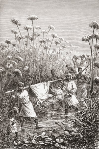 Dr. David Livingstone sendo carregado nos últimos quilômetros até a vila de Tchitammbo, na África, pouco antes de sua morte, ilustração de "O mundo nas mãos", gravada por Henri Theophile Hildibrand de Edouard Riou