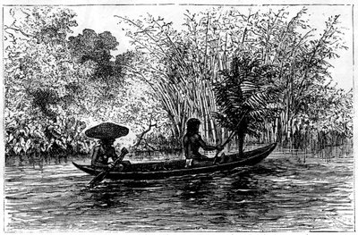 Abrigo no rio Essequibo, Guiana, século XIX de Edouard Riou