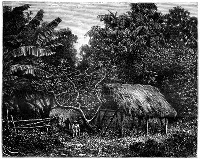 Guiana, América do Sul, século XIX de Edouard Riou