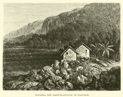 Fazenda e cacau-plantação de Tian-tian de Edouard Riou