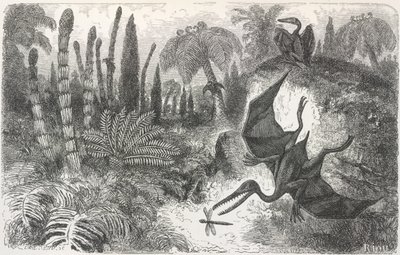 "Paisagem do período liásico". Ilustração representando um pterodáctilo de Edouard Riou