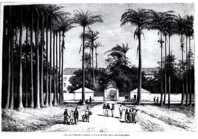 Place des Palmistes, Caiena, Guiana de Edouard Riou